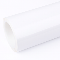 Vanguard Paint Protection Film